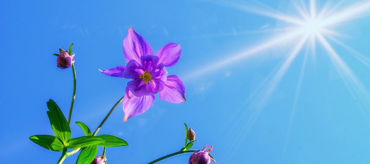 Solens_helande_kraft